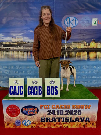 FCI CACIB SHOW Bratislava 2025, CAJC, FCI CACIB-J, BOS