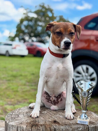 KCHMPP Březí 2025, VN 1